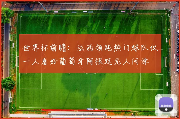 世界杯前瞻：法西领跑热门球队仅一人看好葡萄牙阿根廷无人问津