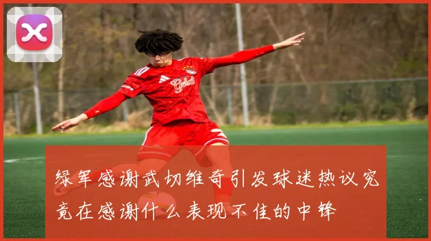 绿军感谢武切维奇引发球迷热议究竟在感谢什么表现不佳的中锋